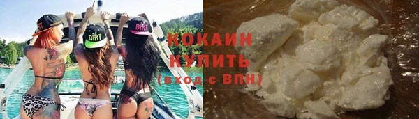 мдпв Богородицк