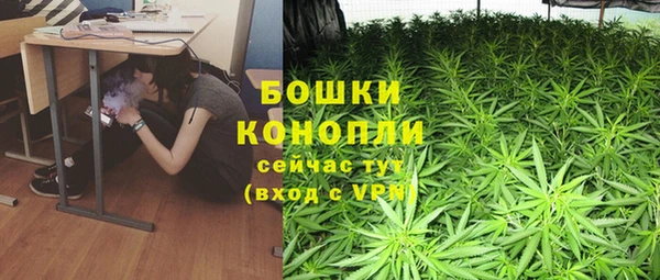 мдпв Богородицк